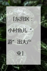 东营区：小村鱼儿“游”出大产业